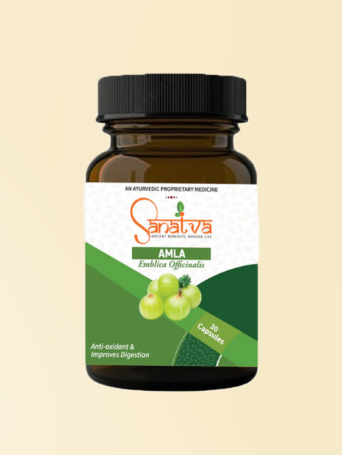 Amla Capsules For Hair Growth, Heart Health, Eye Health, Digestion, Skin Problems And Metabolism